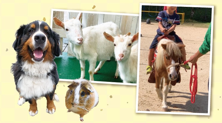 かわいい動物がやってくる！「ふれあい動物園」